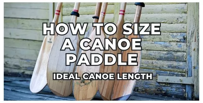 Canoe Paddle Length