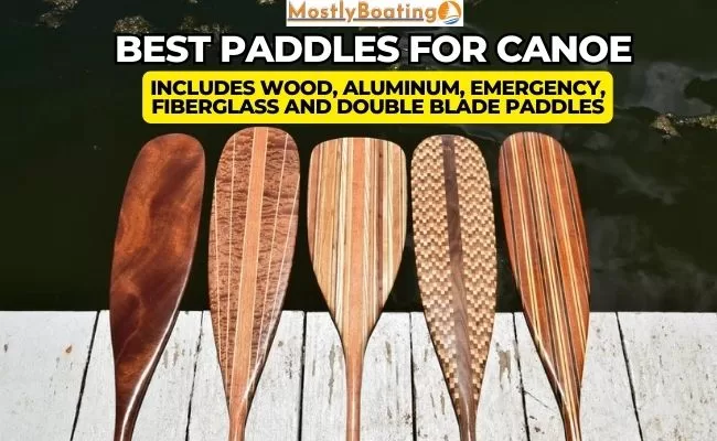 Best Paddles For Canoe