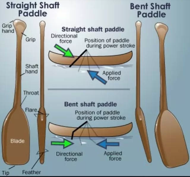Straight or Bent Shaft Canoe Paddle